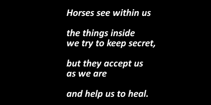 horse language help us to heal