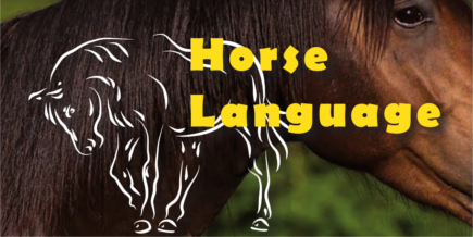 logo Horse Language
